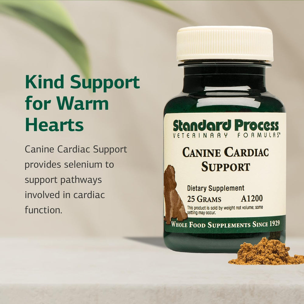 Standard Process Canine Cardiac Support dog-cardiac-health display illustrates everyday wellness for pets.