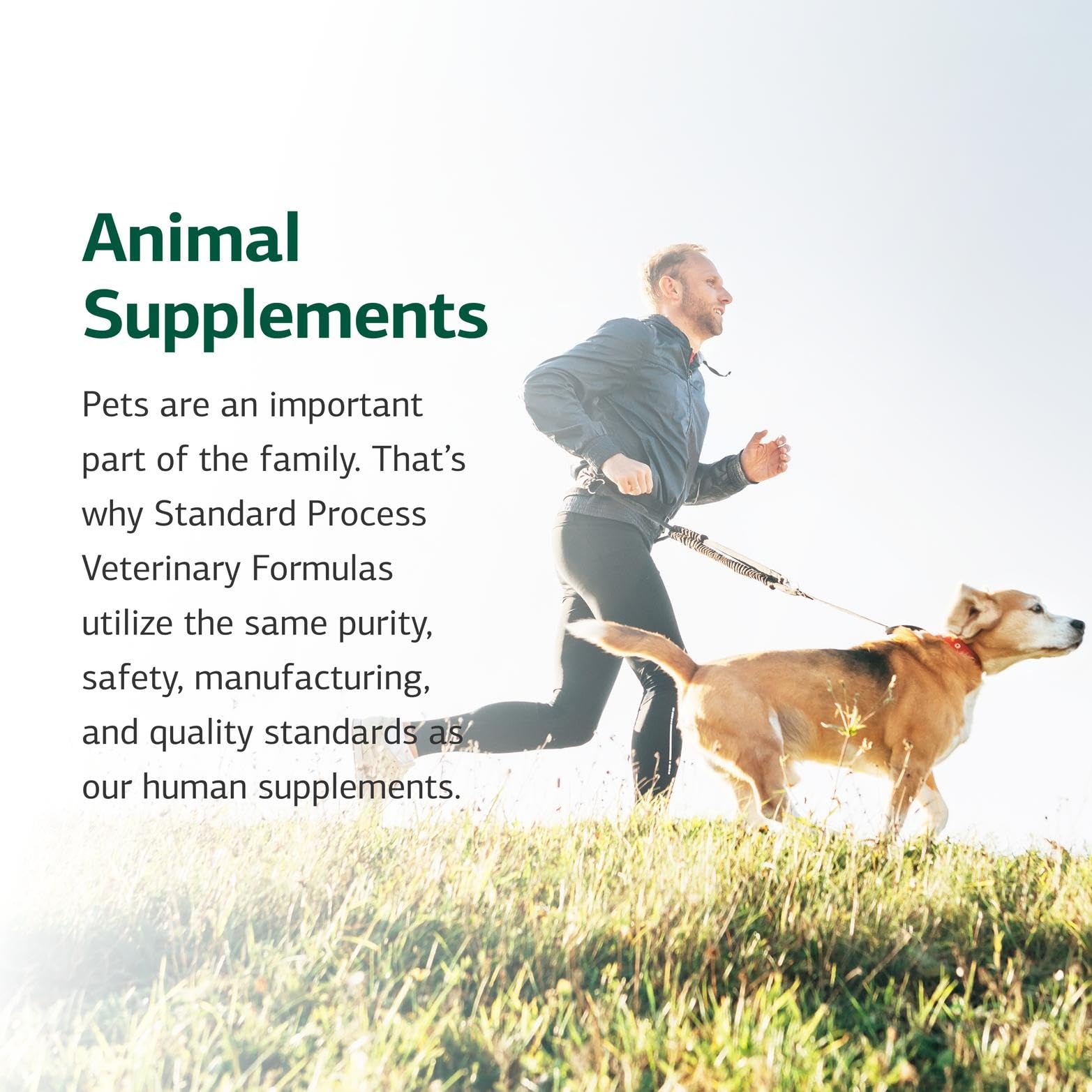 Standard Process Canine Cardiac Support label showcases selenium-rich formula aiding cardiac function.