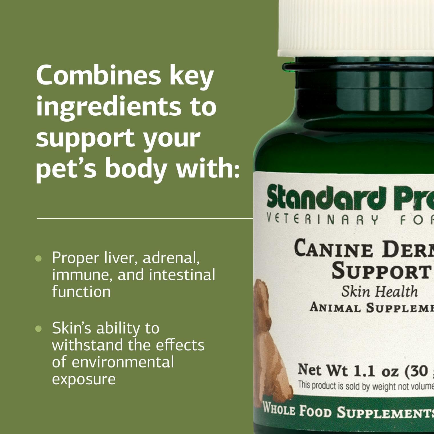 Standard Process Canine Dermal Support large dosing scoop illustrates portioning for larger dogs.