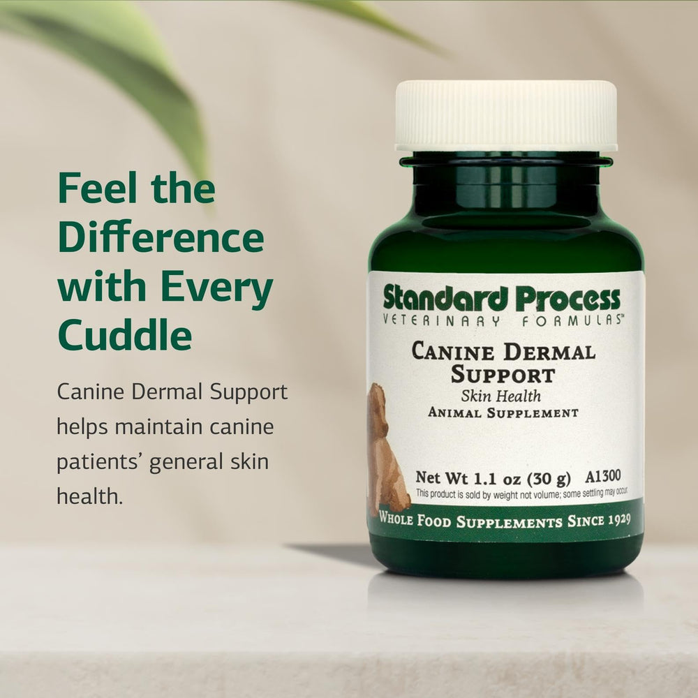 Standard Process Canine Dermal Support small dosing scoop demonstrates precise weight-based dosing.