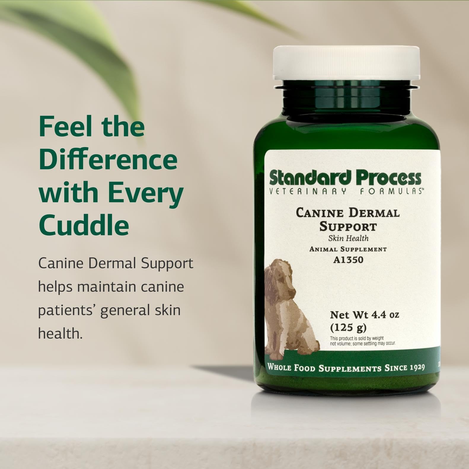 Standard Process Canine Dermal Support measuring scoop showing weight-based dosing.