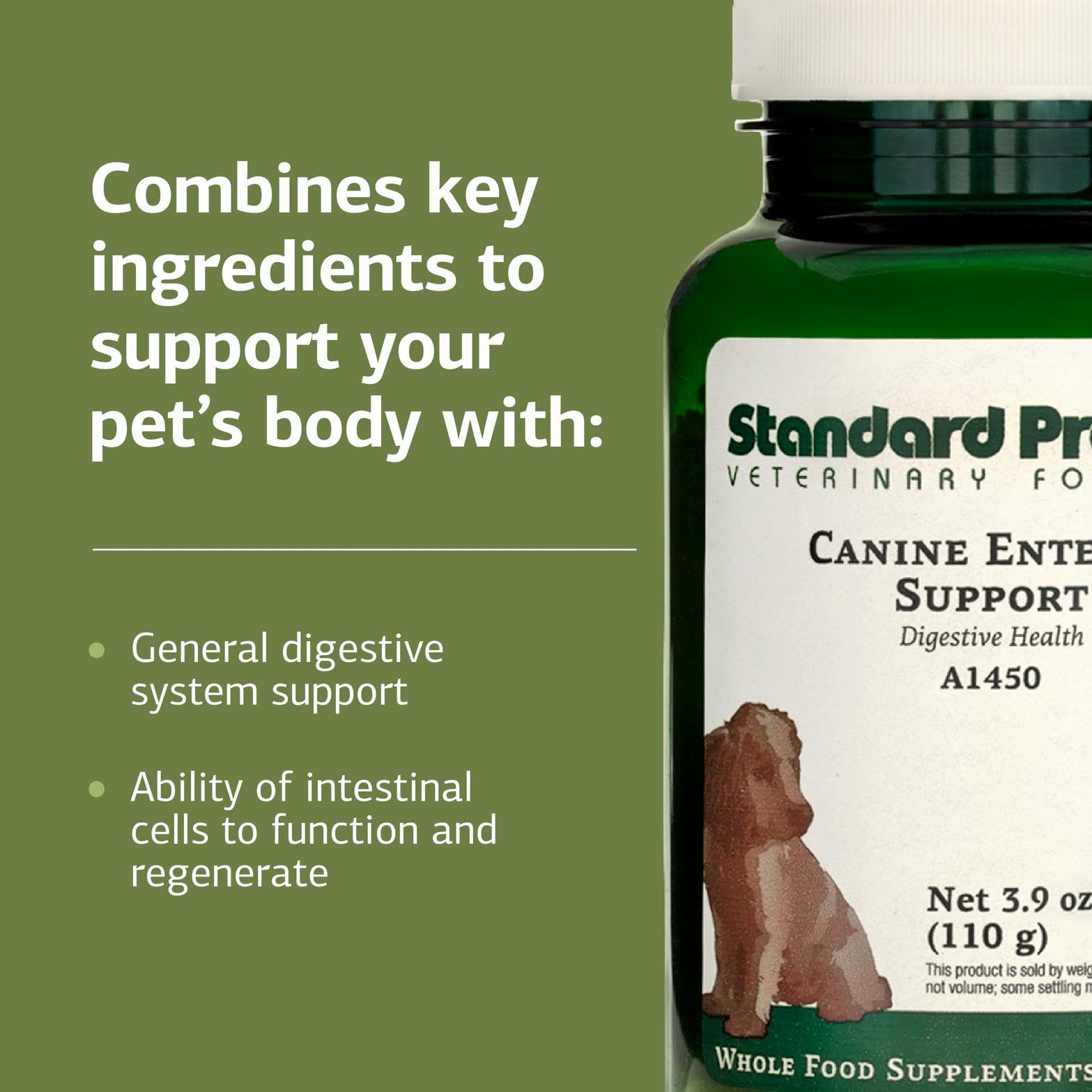 Standard Process Canine Enteric Support digestive tray scene shows practical use during mealtime.