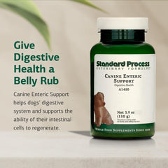 Standard Process Canine Enteric Support ingredients chart emphasizes holistic plant and animal formula.
