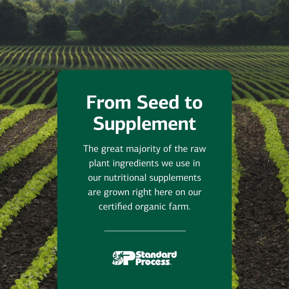 Happy, active dog image suggesting potential mobility and wellness benefits.