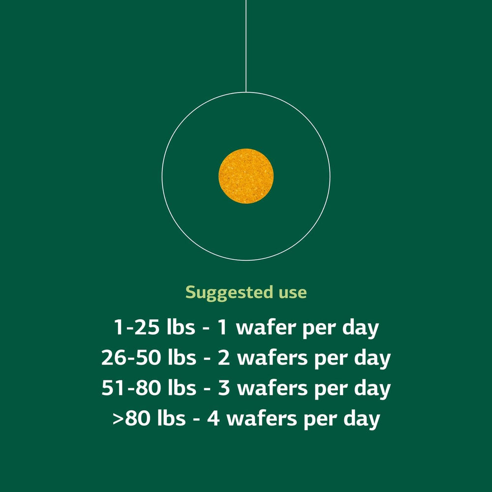 Chondroitin and glucosamine graphic underscores cartilage-friendly support.