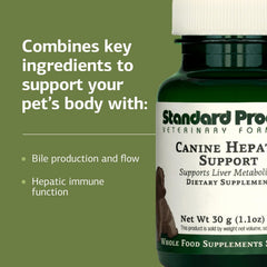 Standard Process Canine Hepatic Support with a dog owner during daily routine.
