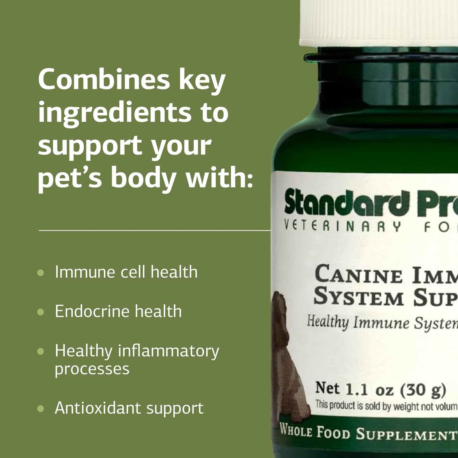 Standard Process Canine Immune System Support being stirred into food during mealtime.