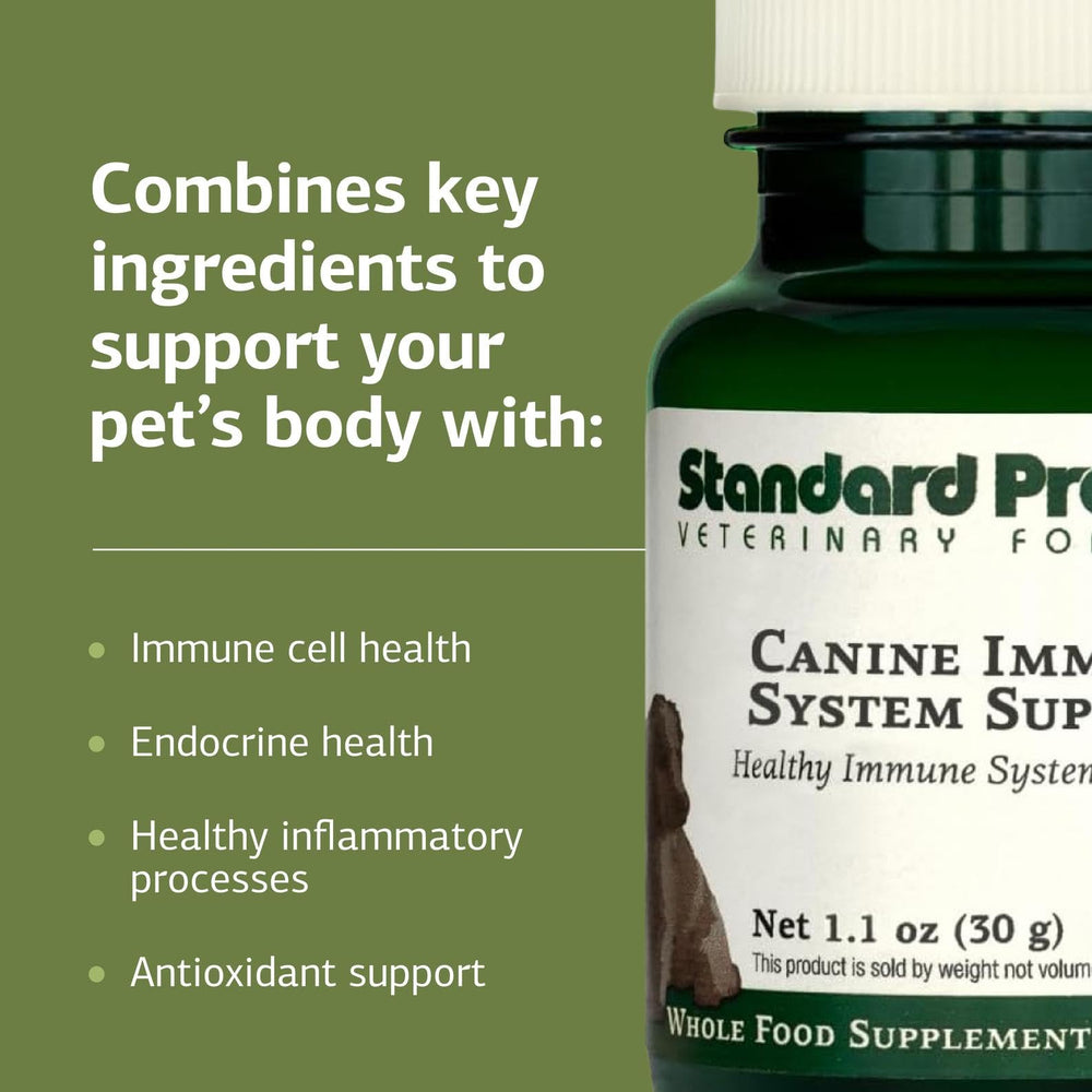 Standard Process Canine Immune System Support being stirred into food during mealtime.