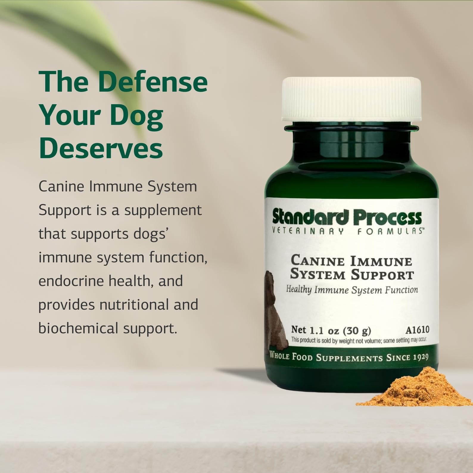 Standard Process Canine Immune System Support powder ready to mix into dog meals.