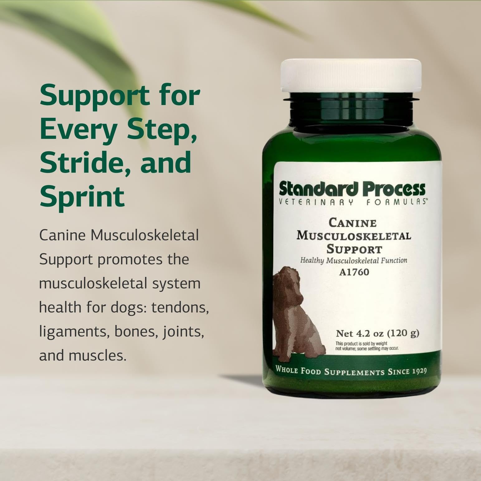 Standard Process Canine Musculoskeletal Support small-bottle dosing scoop demonstrates weight-based dosing.