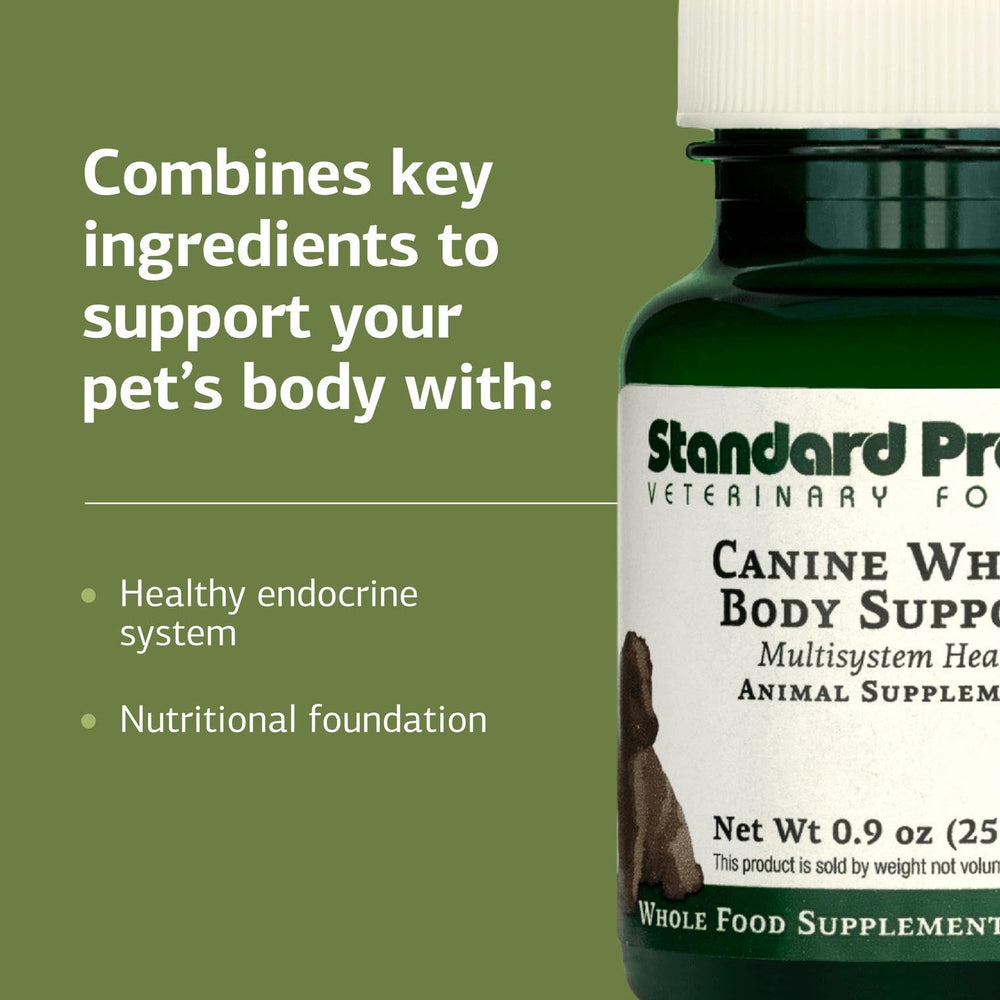 Standard Process Canine Whole Body Support dog-meal-mixing illustrates seamless kibble integration.