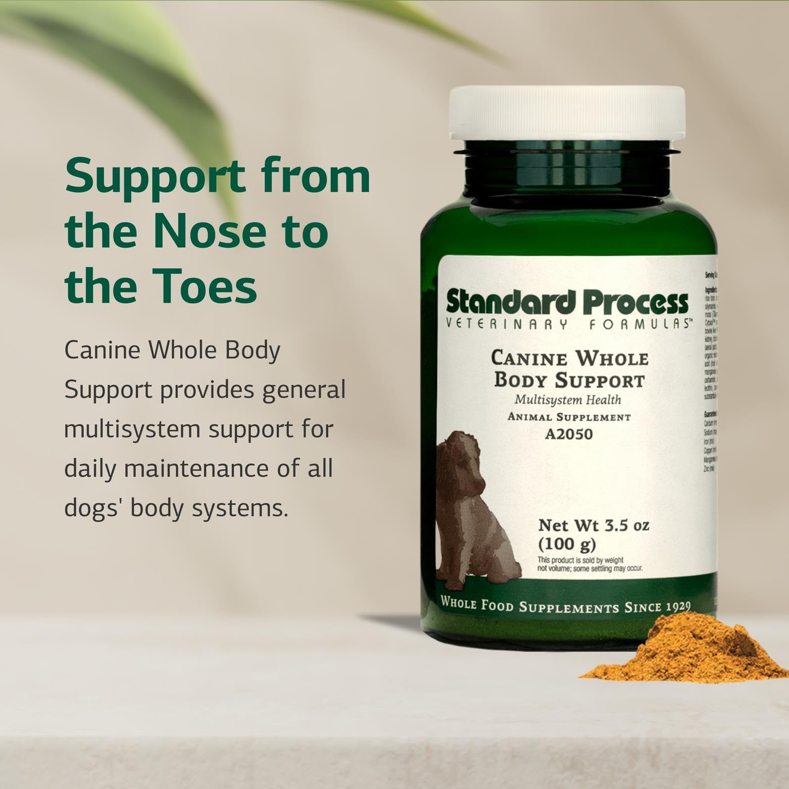 Standard Process Canine Whole Body Support beside kibble, easy daily nutrition for overall wellness.