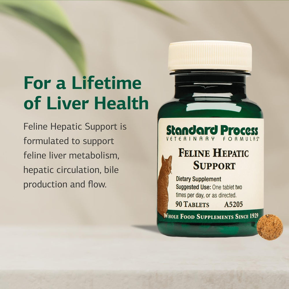 Standard Process cat liver metabolism tablets highlight metabolism support for cats.