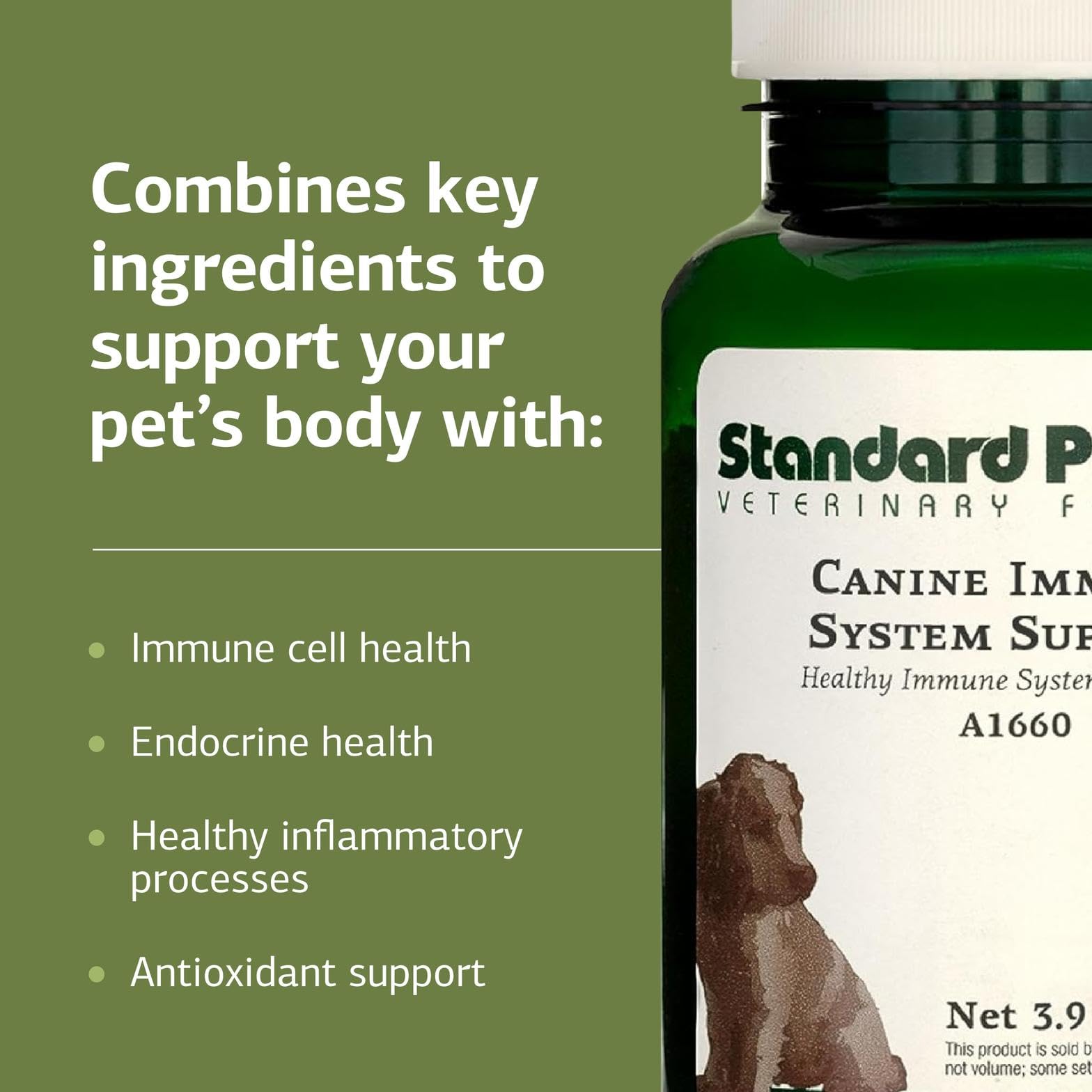 Standard Process dog supplement powder being mixed—simple dosing for busy pet routines.