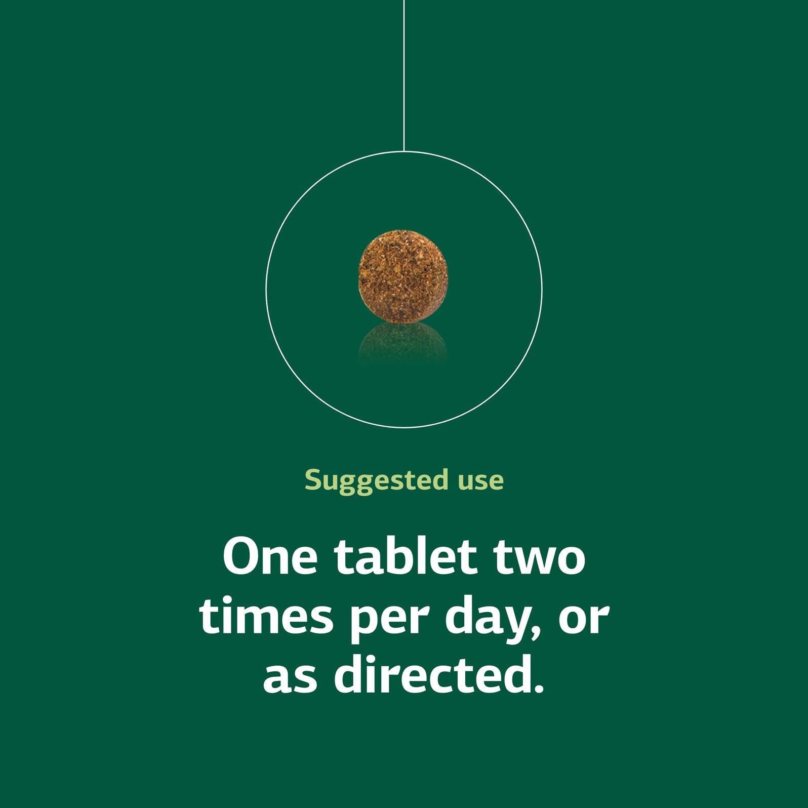Standard Process Feline Cardiac Support cat with tablet demonstrates administration.