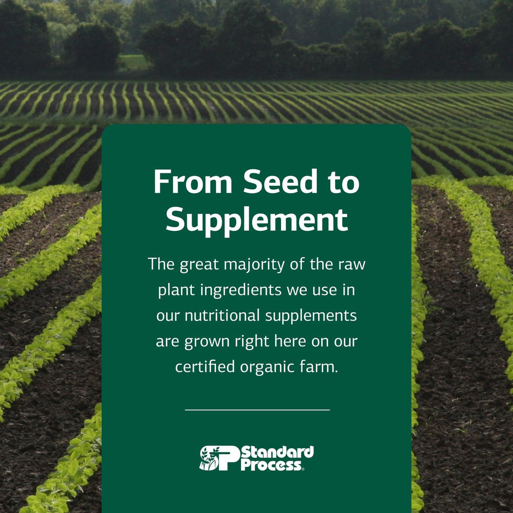 Standard Process Feline Cardiac Support daily-use image depicting routine integration.