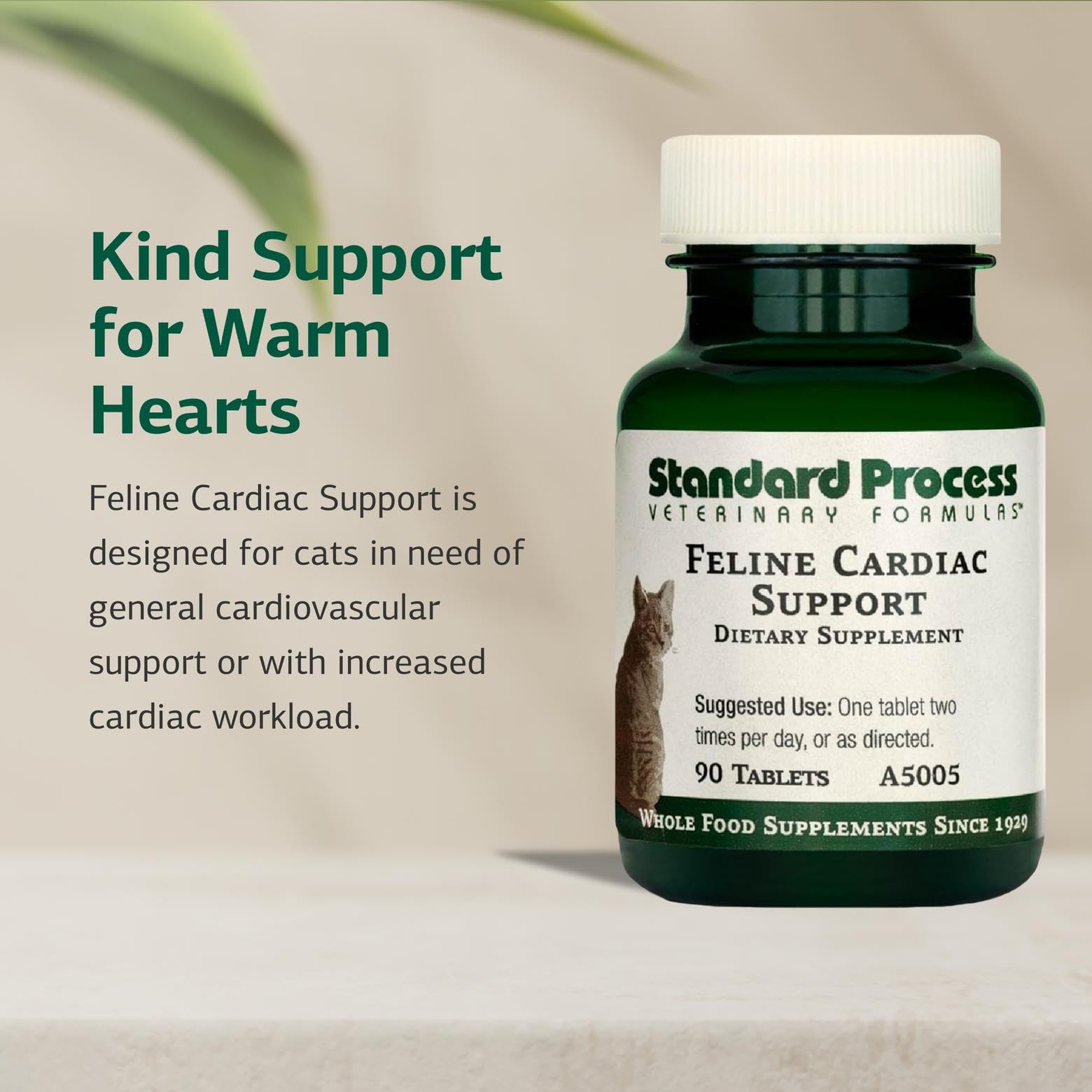 Standard Process Feline Cardiac Support ingredient list highlights whole-food nutrients.