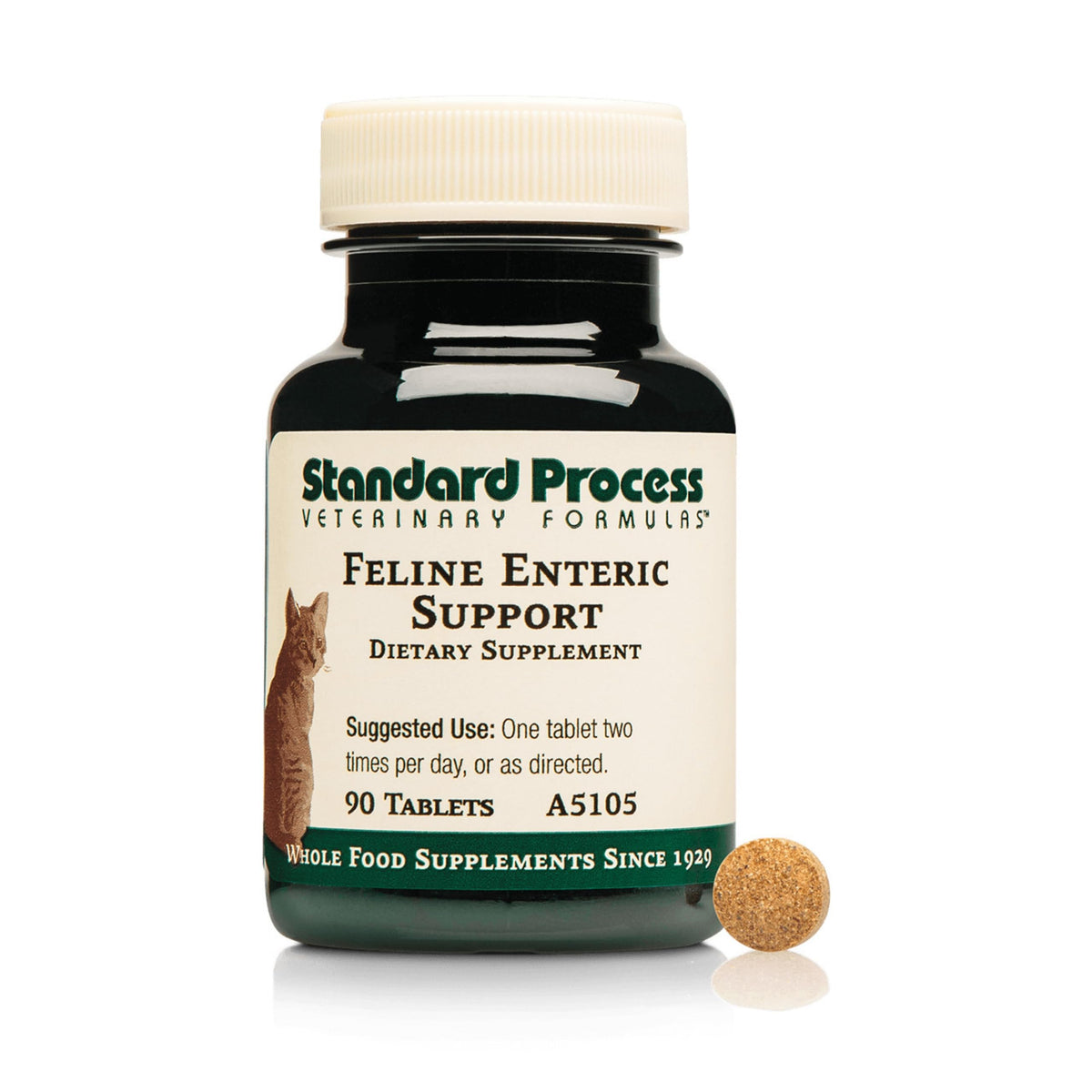 Standard Process Feline Enteric Support bottle front demonstrates convenient digestive health support.