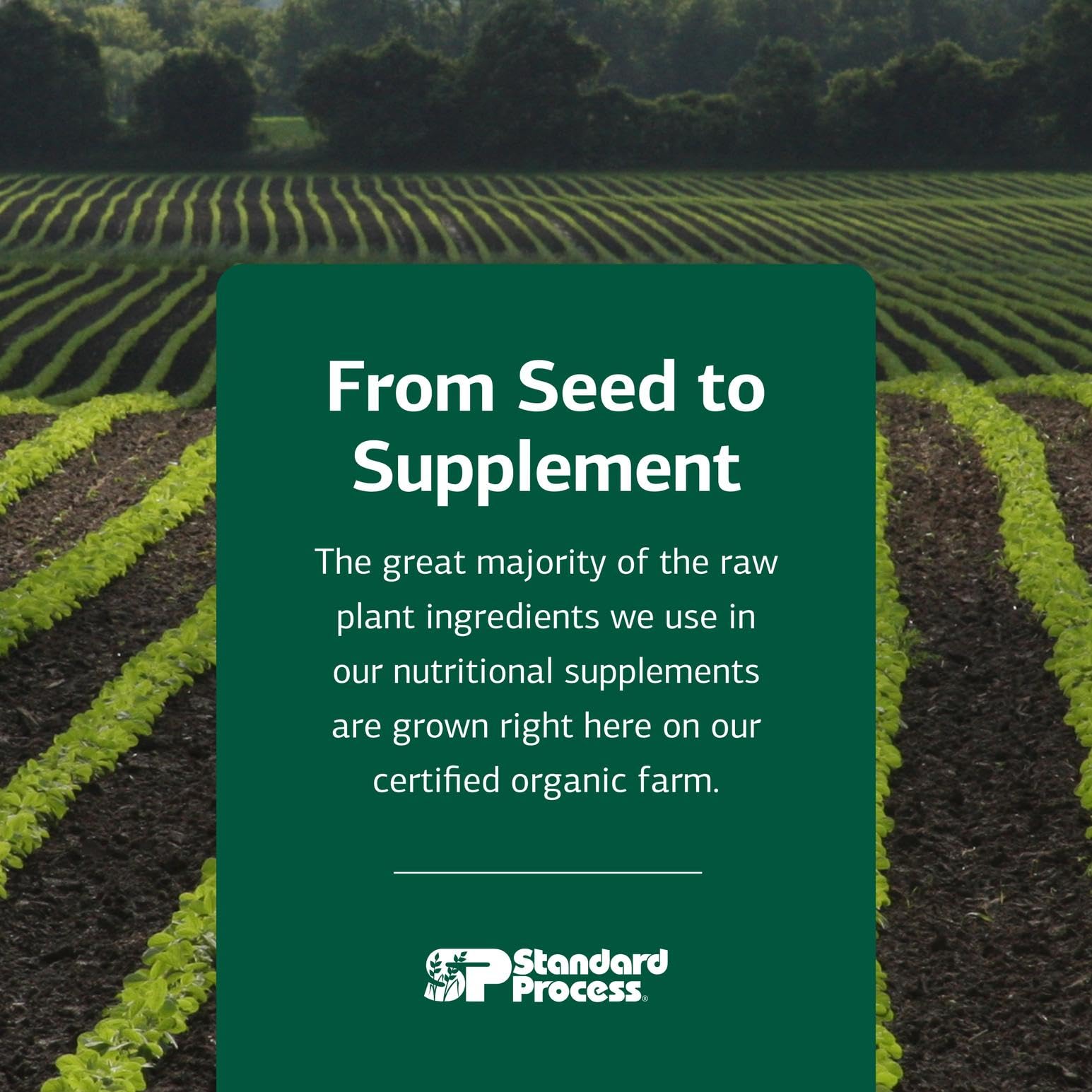 Standard Process brand heritage signals trusted, whole-food nutrition for pets.