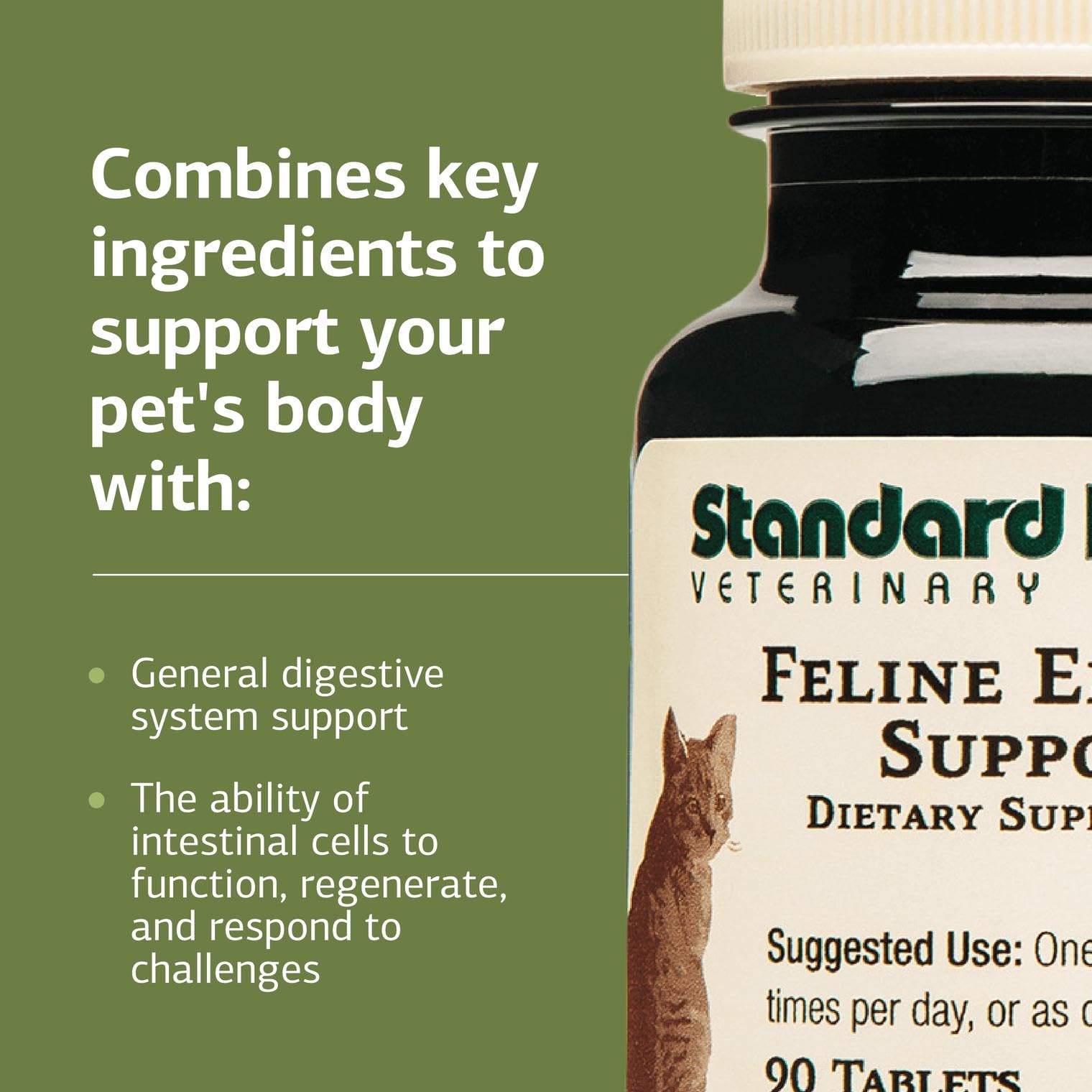 Standard Process Feline Enteric Support crushed tablet mixed with food for flexible feeding.