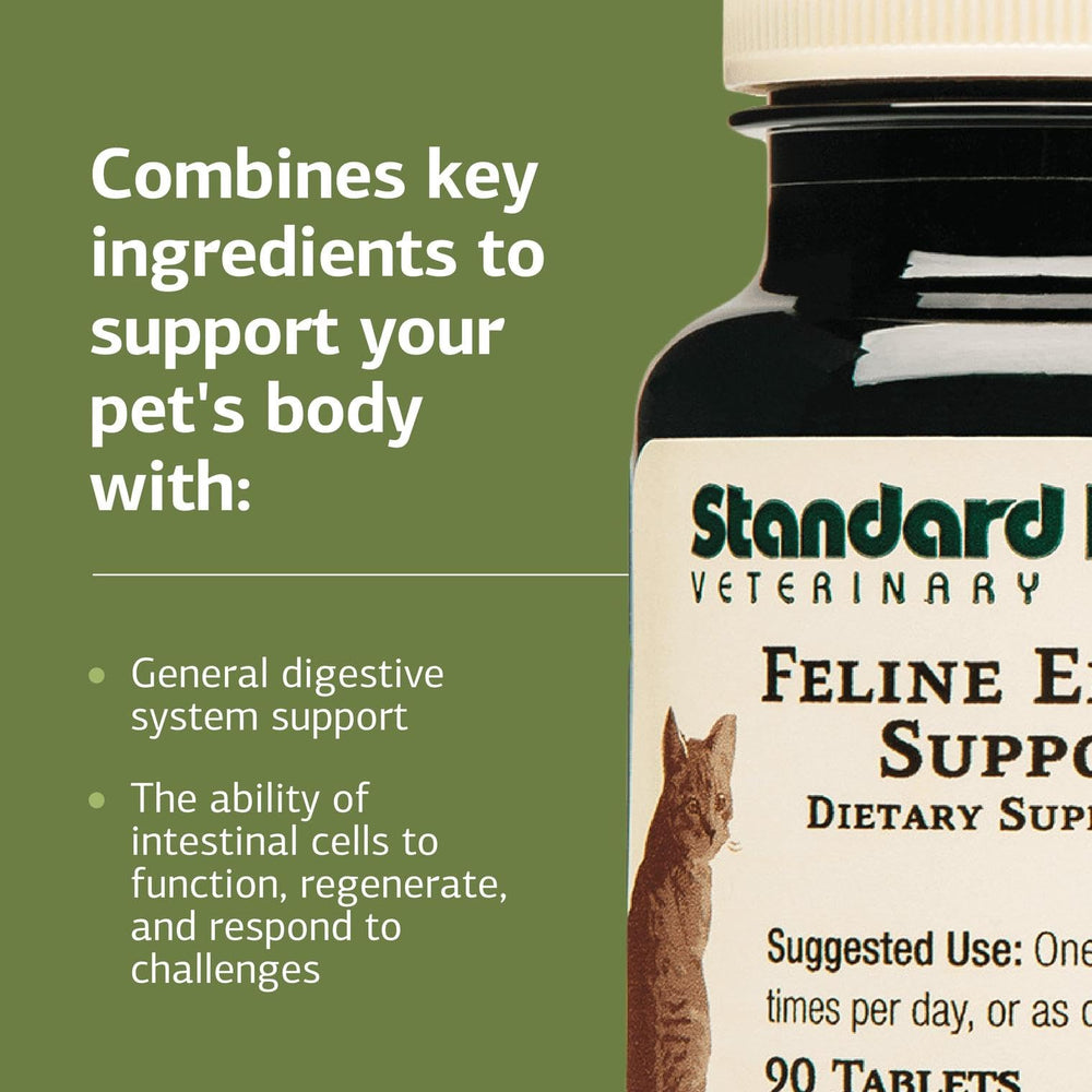 Standard Process Feline Enteric Support crushed tablet mixed with food for flexible feeding.