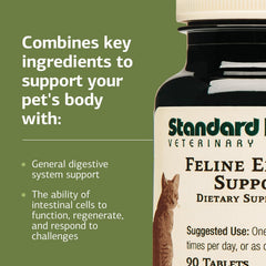 Standard Process Feline Enteric Support crushed tablet mixed with food for flexible feeding.