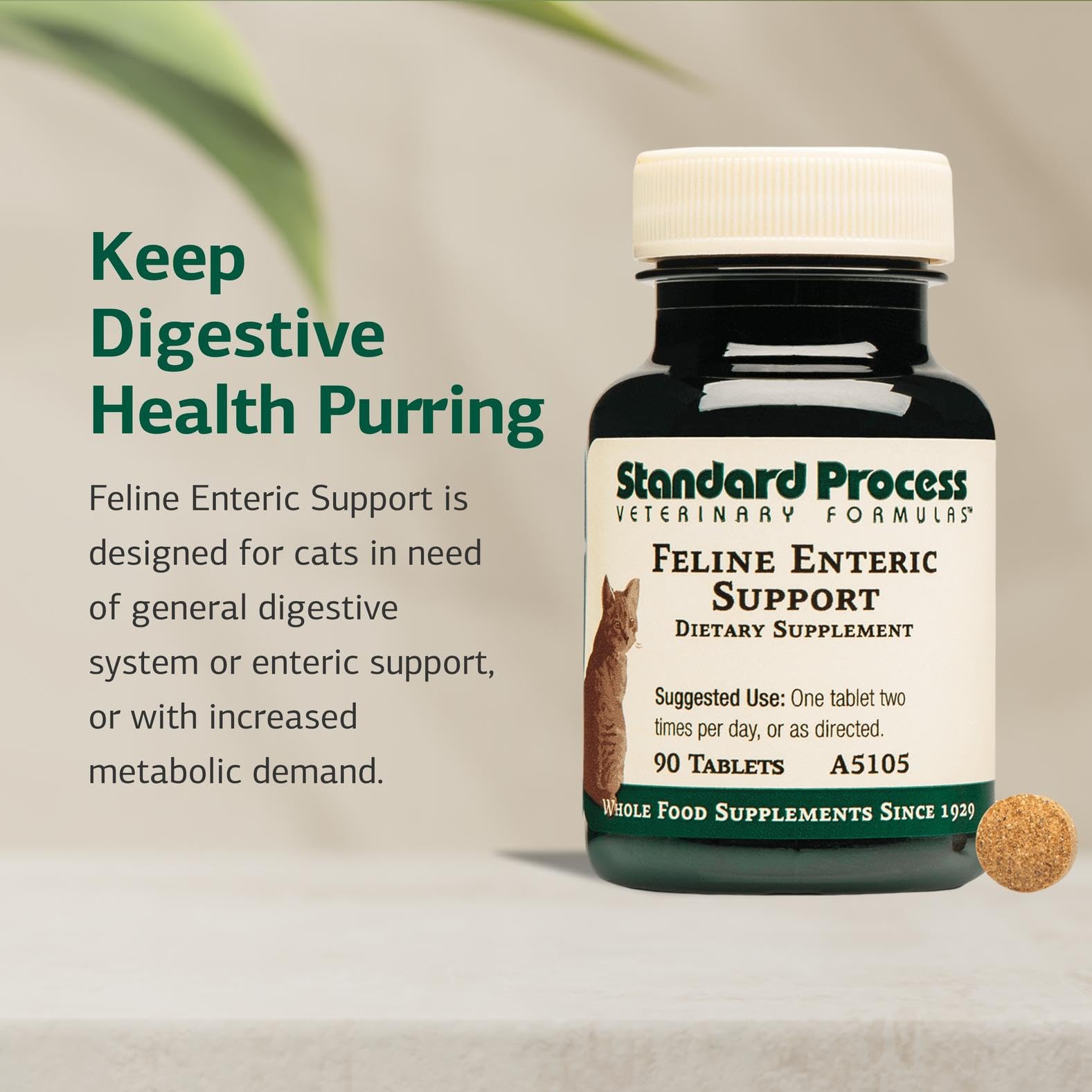 Standard Process Feline Enteric Support tablet being dosed directly for convenient administration.
