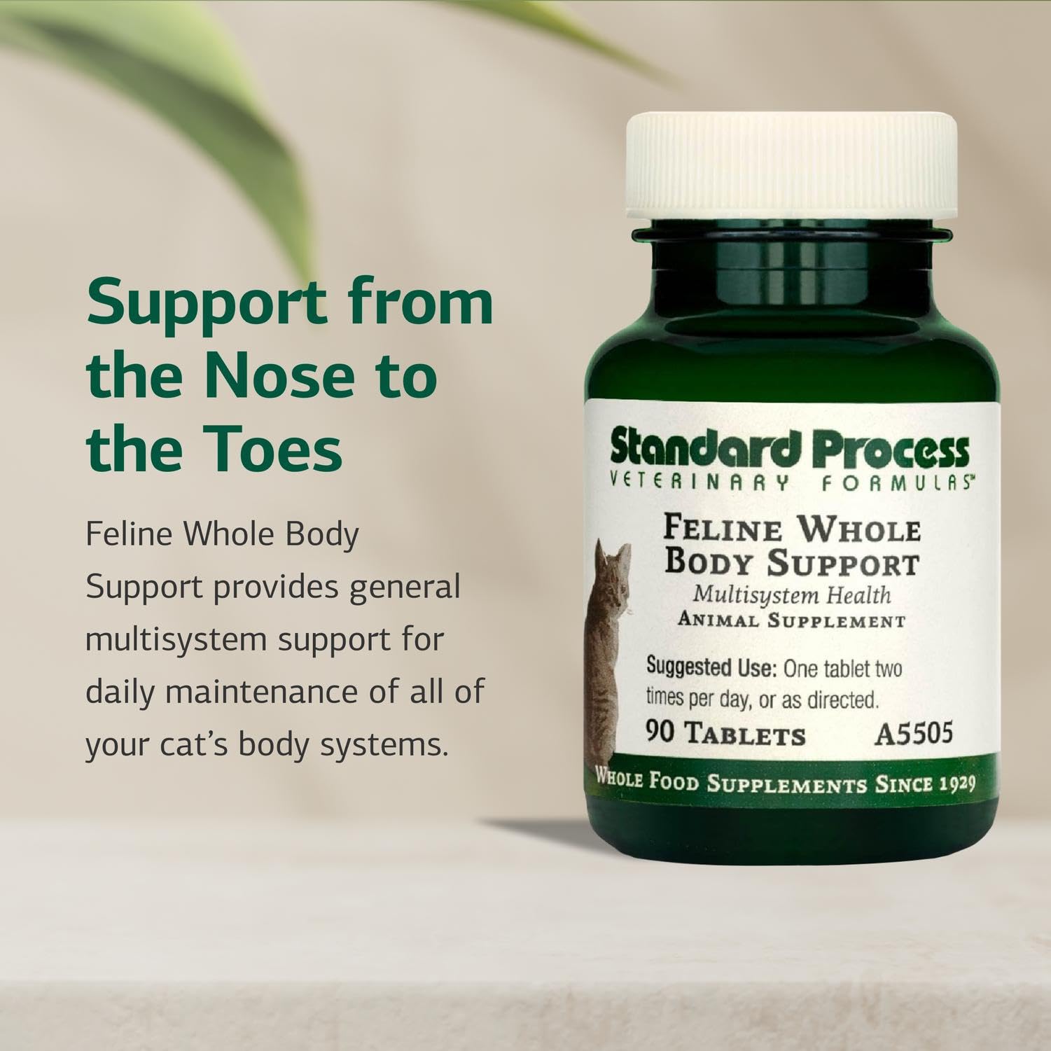 Standard Process Feline Whole Body Support dosing scene shows easy tablet dosing with meals.