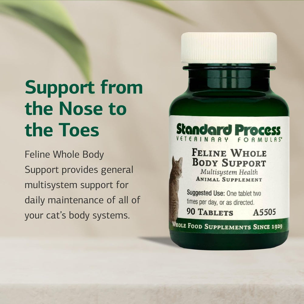 Standard Process Feline Whole Body Support dosing scene shows easy tablet dosing with meals.