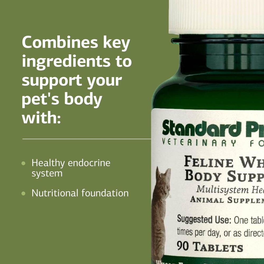 Standard Process Feline Whole Body Support food mix demonstrates easy incorporation with meals.