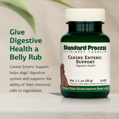 Standard Process Canine Enteric Support dosing scoop shows precise weight-based serving.