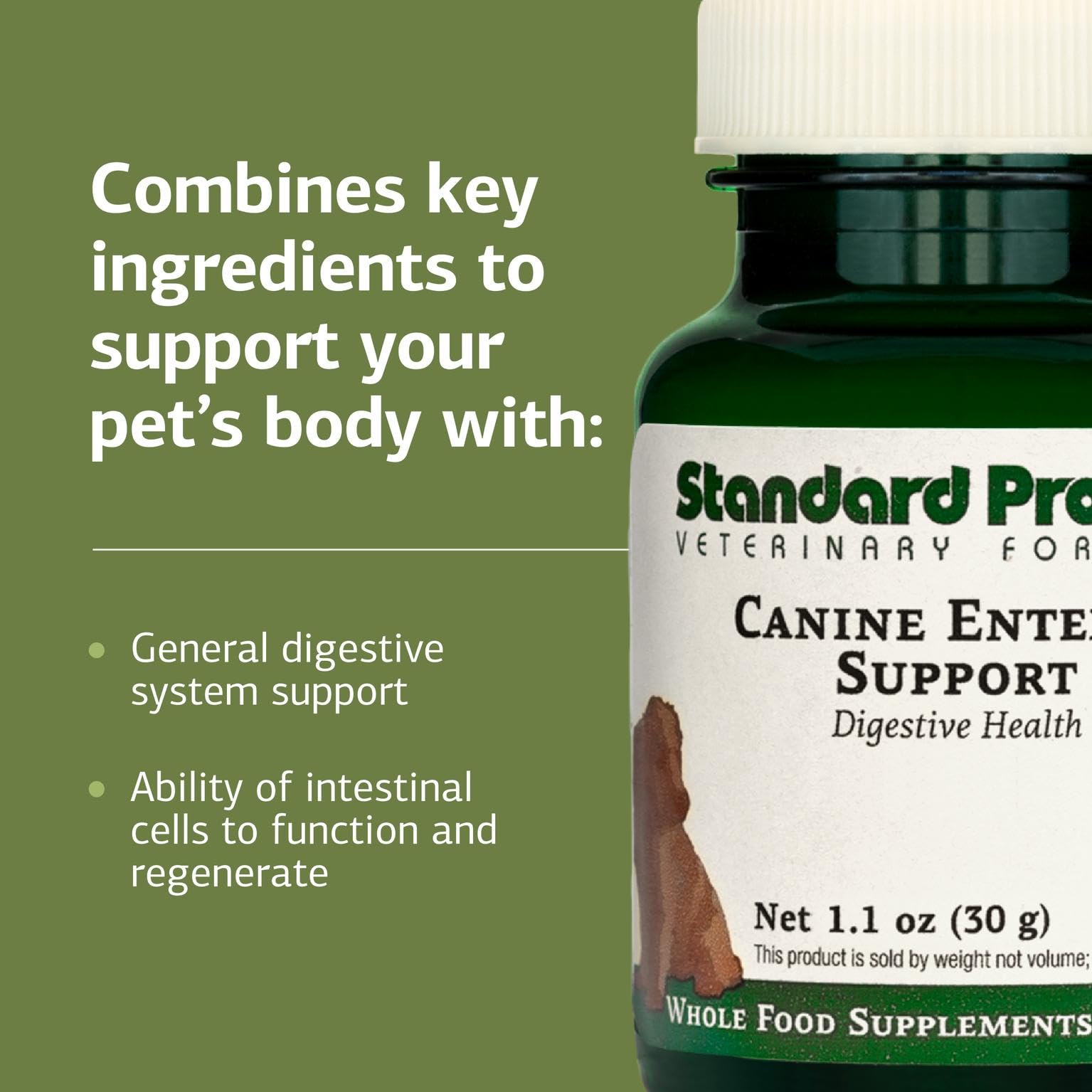 Standard Process Canine Enteric Support ingredient blend graphic highlights natural sources for gut health.