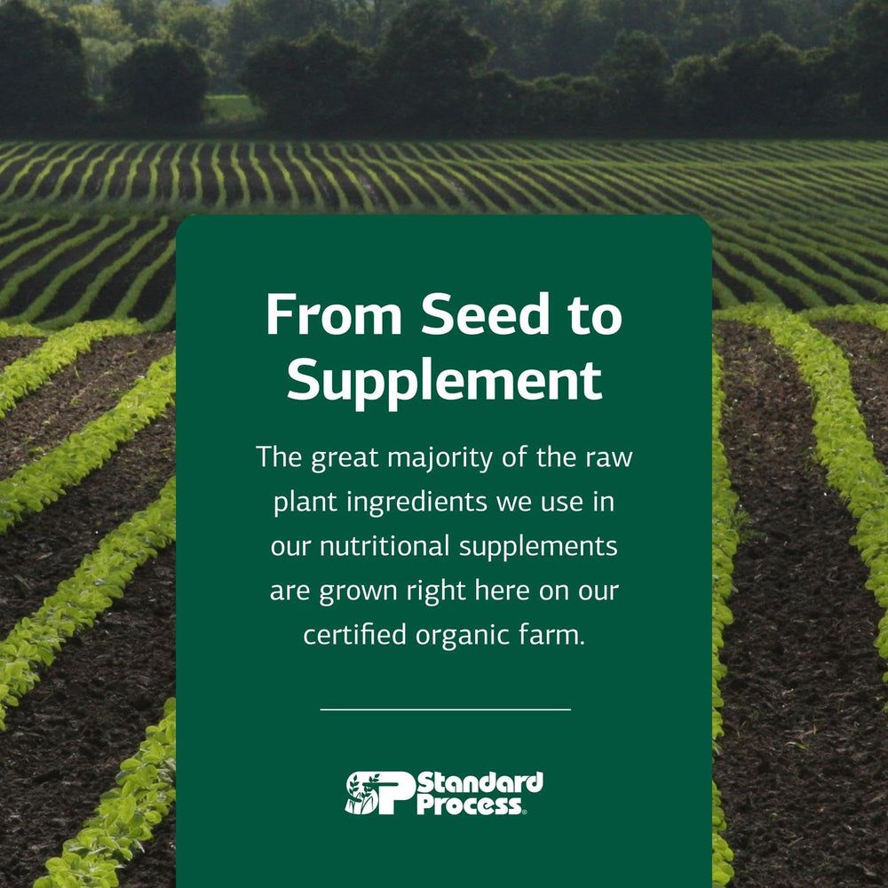 Standard Process whole-food supplement production image—quality, testing, and traditional craftsmanship.