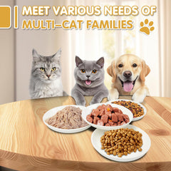 STAOVA flat wide-bottom bowls reduce whisker fatigue and keep faces clean during meals