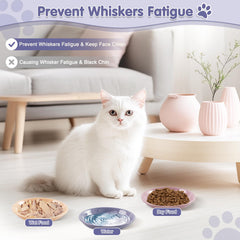 STAOVA cat bowls for multi-pet mealtimes support peaceful feeding and organization