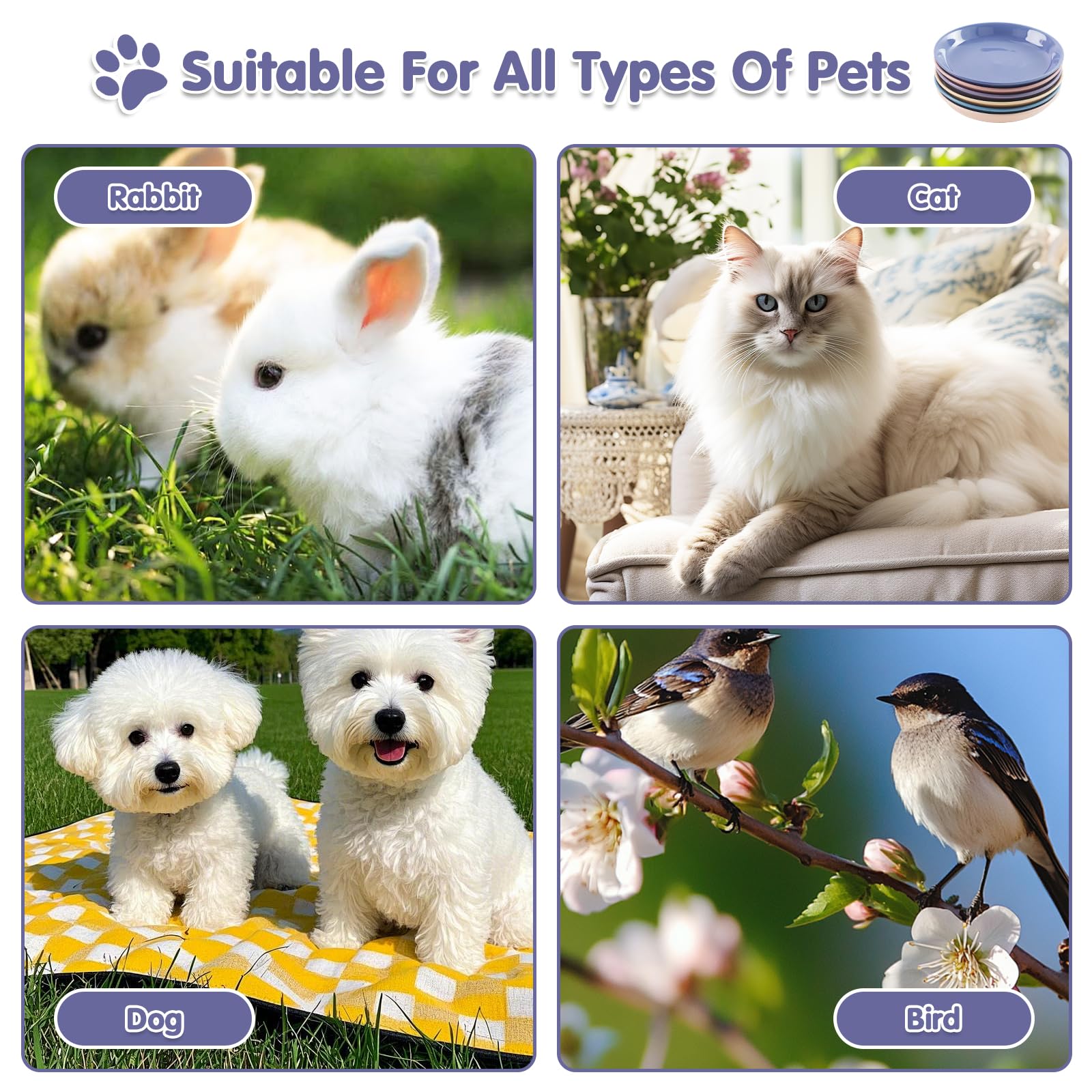 STAOVA cat bowls secure packaging and reliable delivery