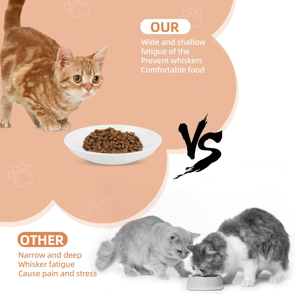 STAOVA ceramic bowl shows smooth glaze and safe feeding surface