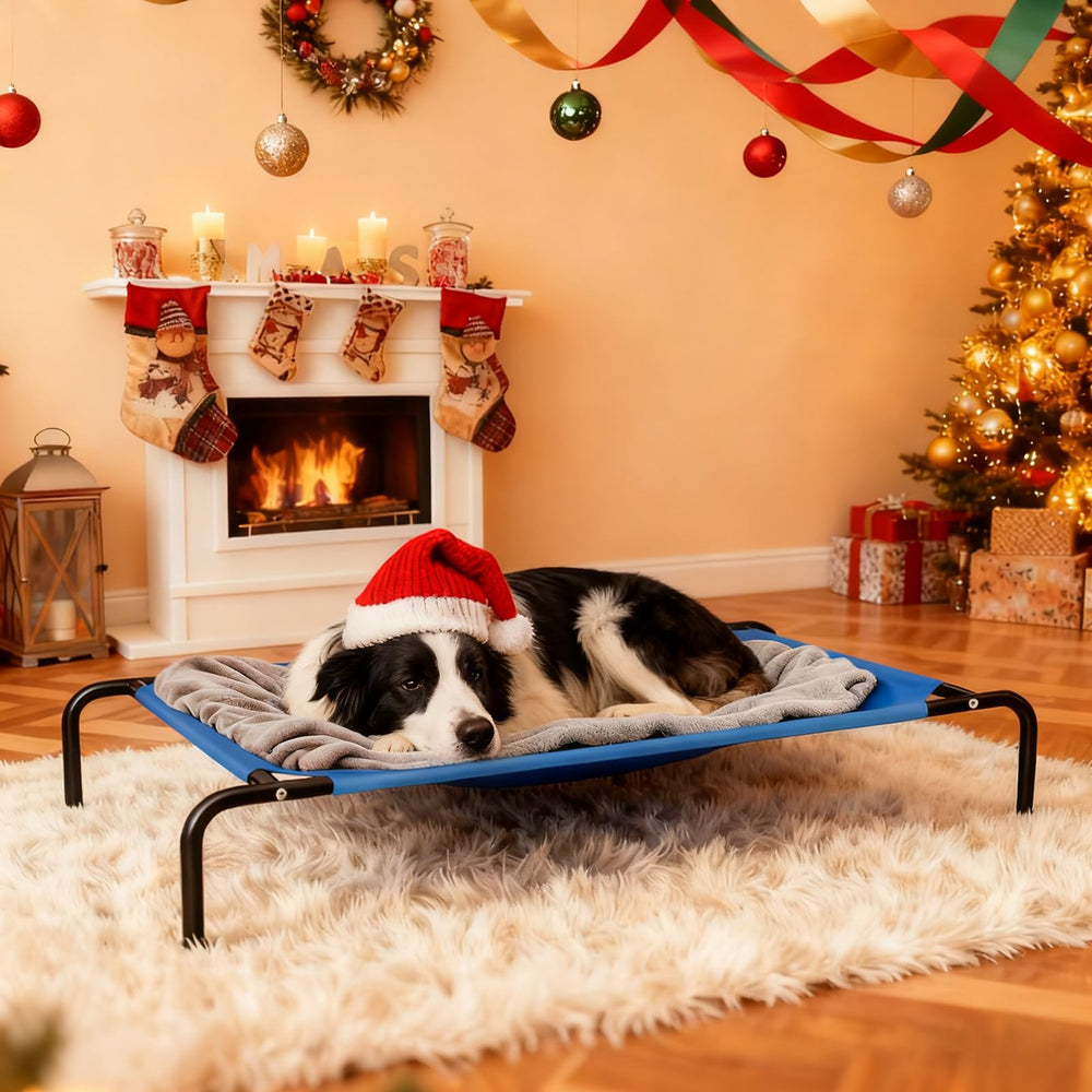 STARLATTA bed being rinsed with hose for easy cleaning