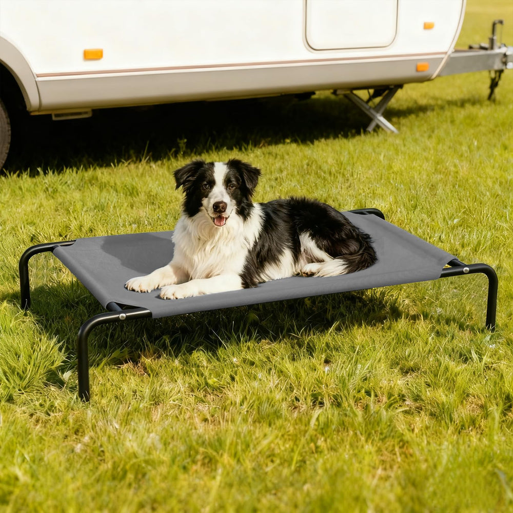 STARLATTA dog resting on raised bed poolside backdrop