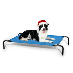 STARLATTA elevated cooling dog bed blue exterior, outdoor-ready