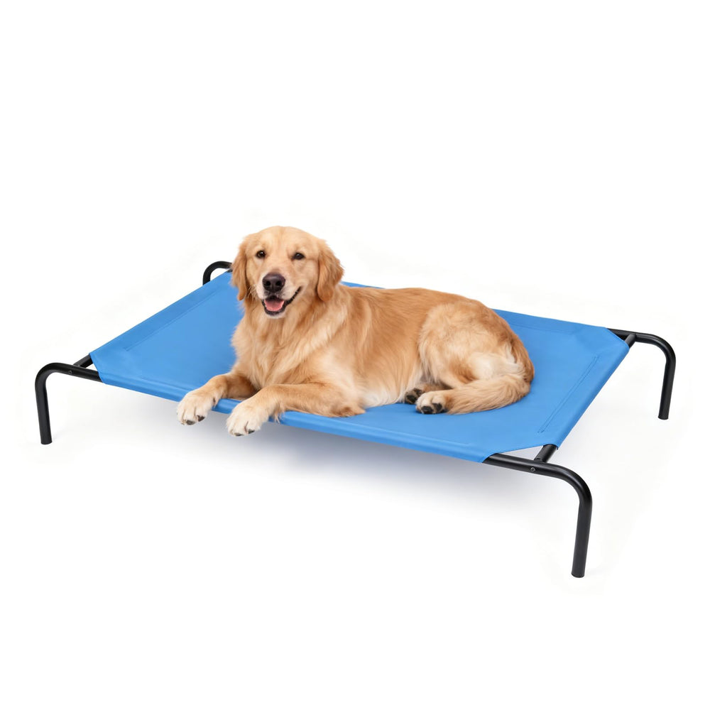 STARLATTA elevated dog bed 50in overview shows roomy space for large dogs