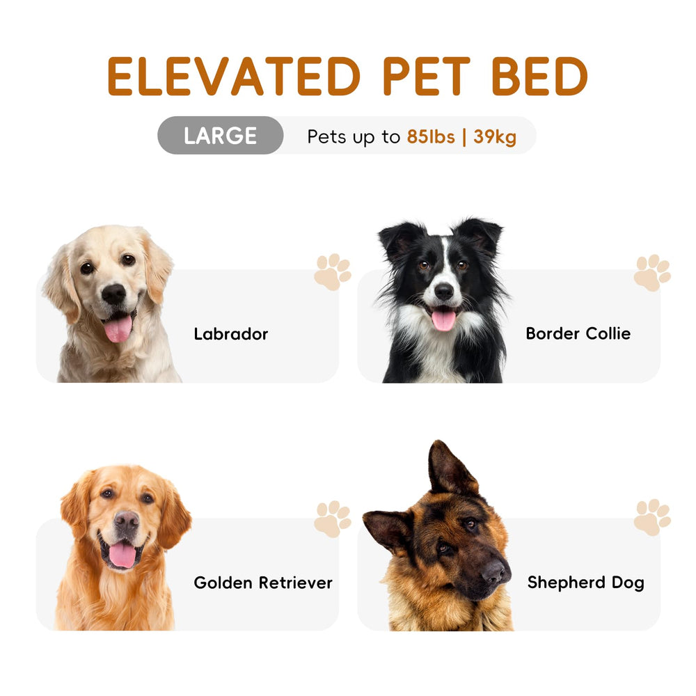STARLATTA elevated dog bed assembly visuals show tool-free snap-on design