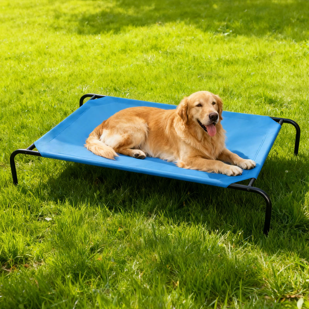 STARLATTA elevated dog bed cooling elevated position keeps pets comfortable