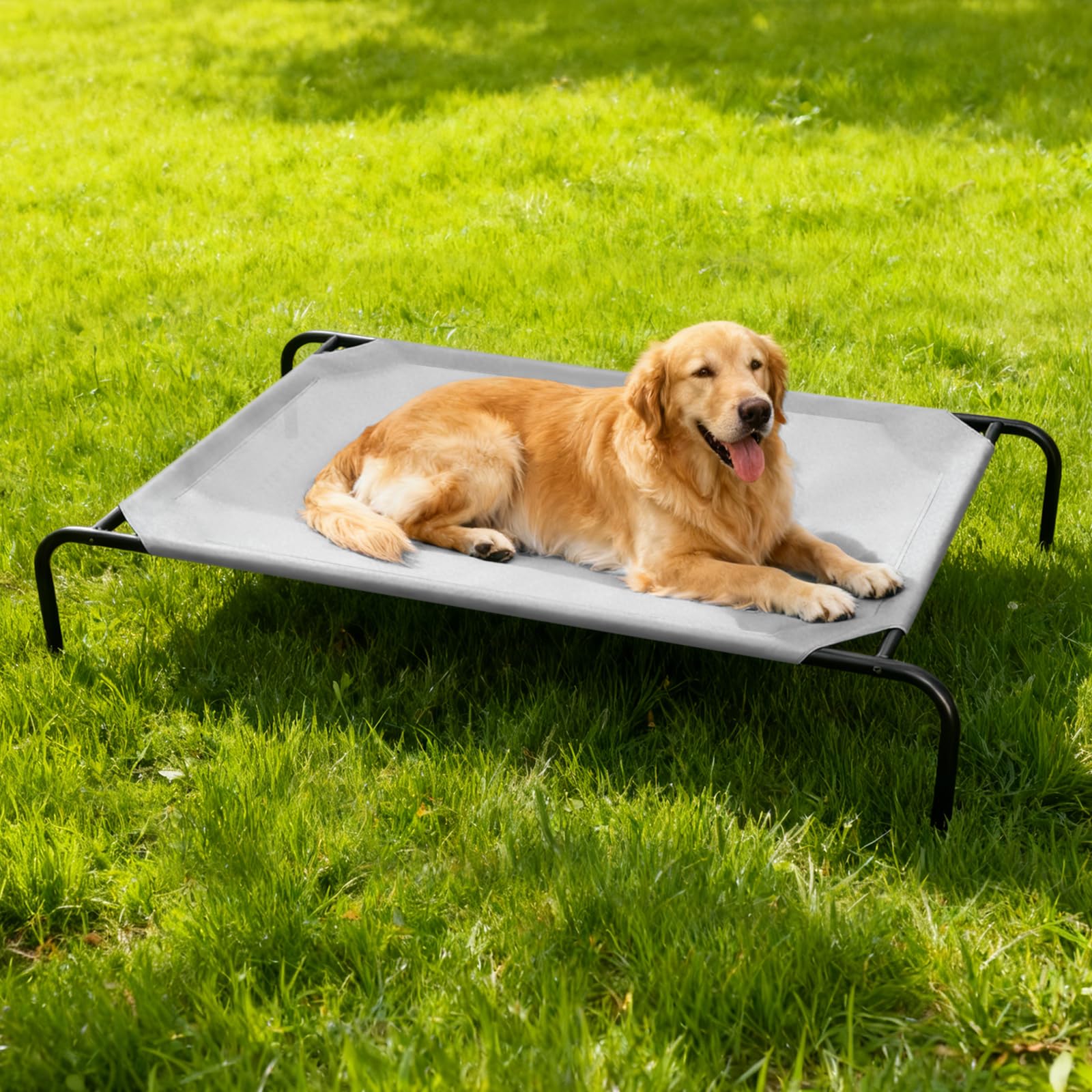 STARLATTA dimensions highlight 50.8 by 31.5 inches sleeping area