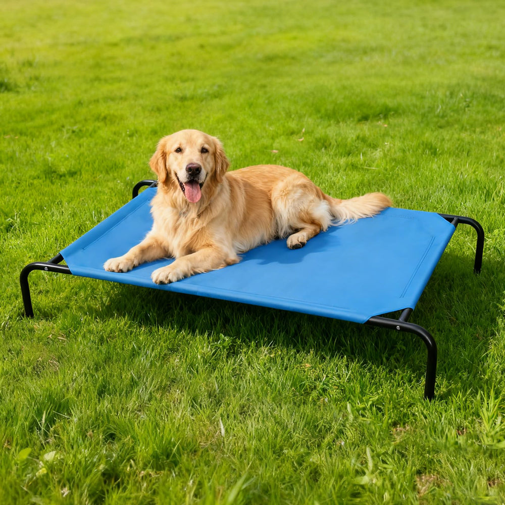 STARLATTA elevated dog bed easy tool-free assembly for fast setup