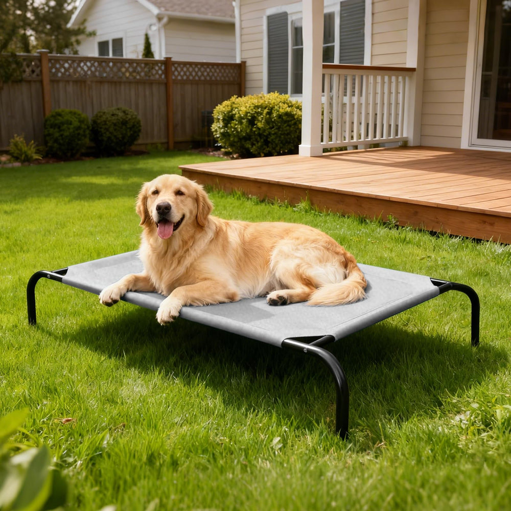 STARLATTA easy-assembly image shows tool-free setup in minutes