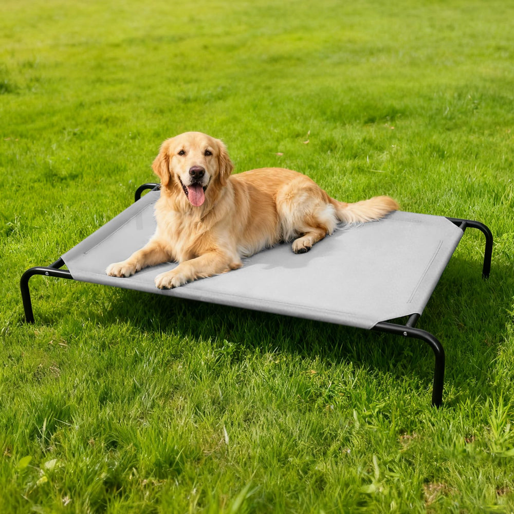 STARLATTA indoor comfort view emphasizes elevated cooling above the floor