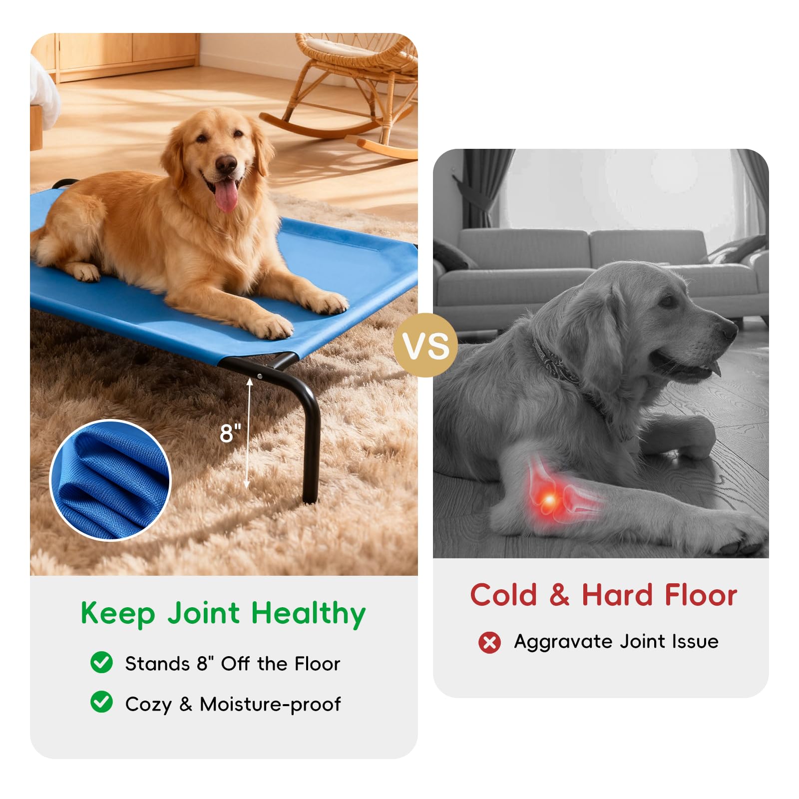 STARLATTA elevated dog bed steel frame close-up highlighting durability