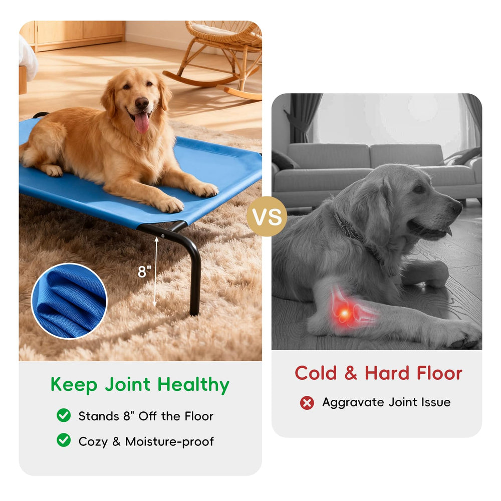 STARLATTA elevated dog bed steel frame close-up highlighting durability