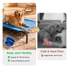 STARLATTA elevated dog bed steel frame close-up highlighting durability